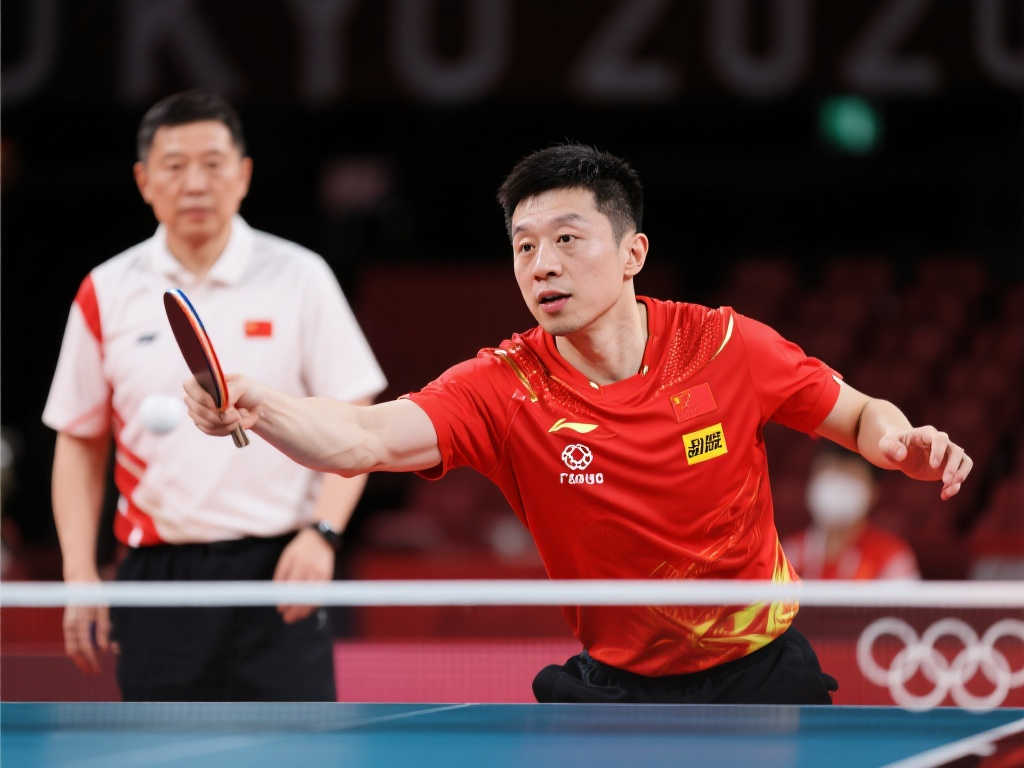 应教练的要 应教练的要